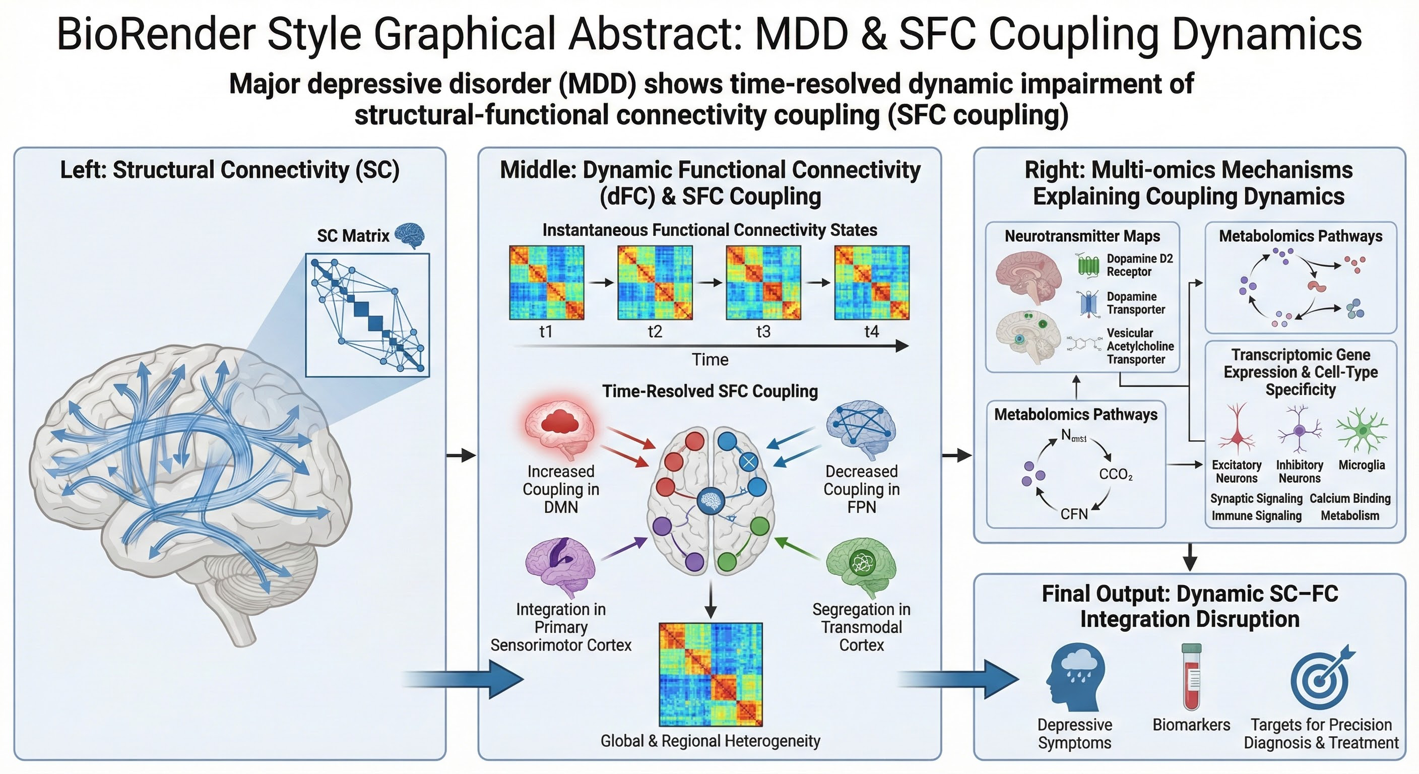 Abstract Biorender Examples BioRender style graphical abstract, clean vector infographic ...